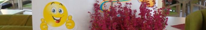 DSC02460.JPG