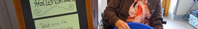 Hollerstaudn